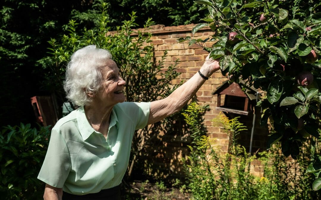 How You Can Support Elderly Living Alone